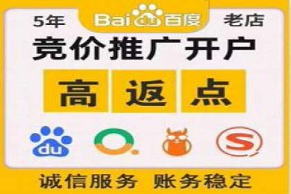 某行业巨头如何利用百度推广服务费提升业绩